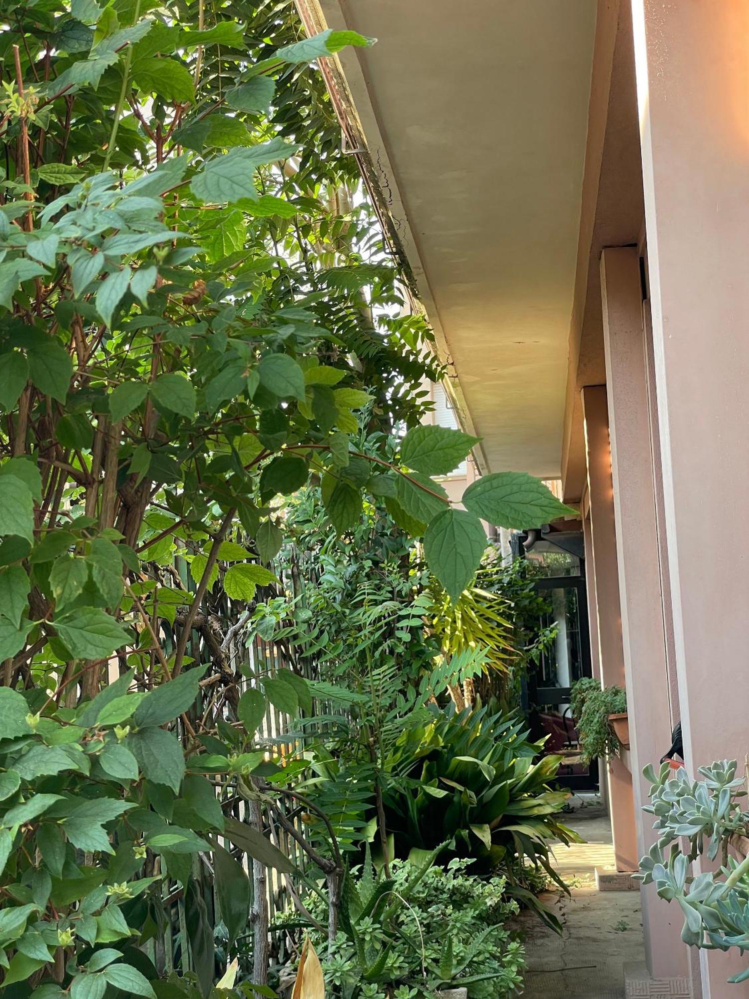 Hotel Berlino Cattolica Eksteriør billede